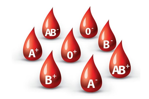 Nhóm máu nào thu hút muỗi đốt nhiều nhất?